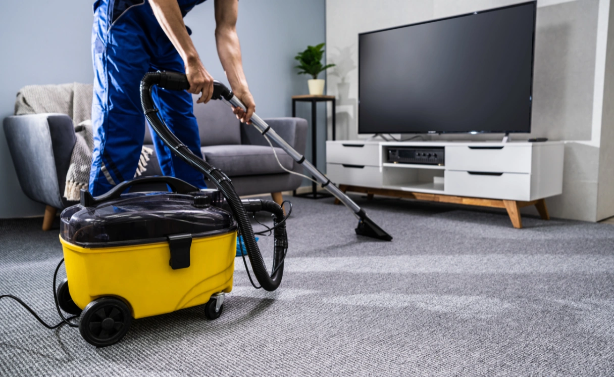 Extract Upholstery Cleaning Belgrave Heights Contact Office